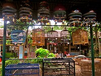 Java 2014 - 11 - Yogyakarta - Vogeltjesmarkt 03