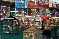 Java 2014 - 11 - Yogyakarta - Vogeltjesmarkt 12