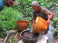 Java 2014 - 14 - Tanen - Pakem Guesthouse Tanen Toertrip 07