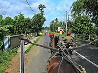 Java 2014 - 20 - Kalibaru Rondtoer 26