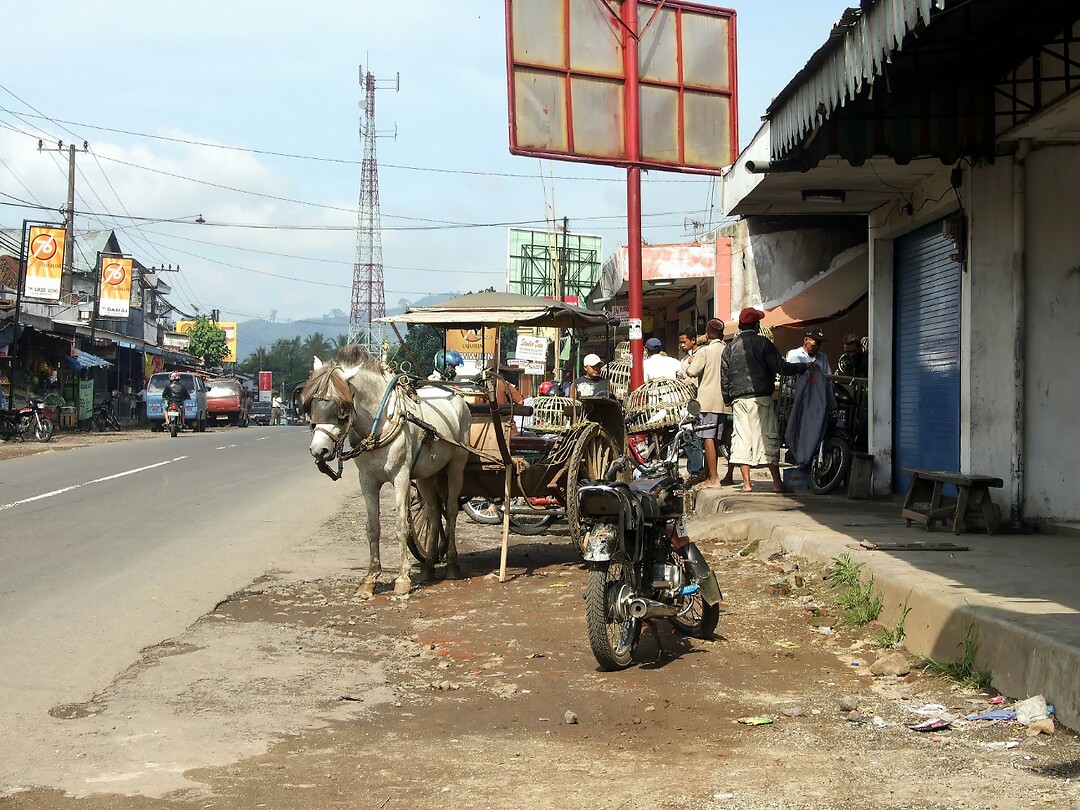 Java 2014 - 20 - Kalibaru Rondtoer 56