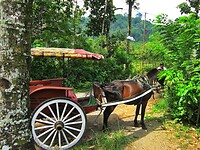Java 2014 - 20 - Kalibaru Rondtoer 57