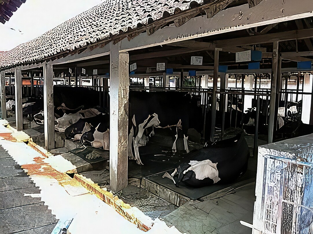 Java 2014 - 22 - Kalibaru - Rumah Sarang 16