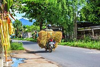 Java 2014 - 25 - Vervoer 70