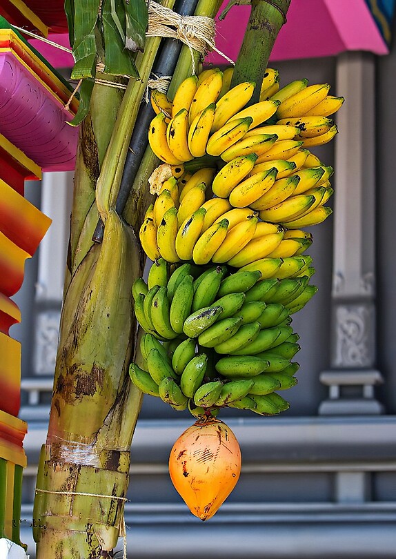 Java 2014 - 26 - Diversen - Fruit 02