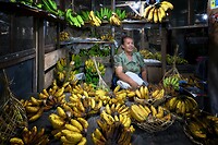 Java 2014 - 26 - Diversen - Fruit 05