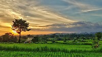 Java 2014 - 26 - Diversen - Platteland 31