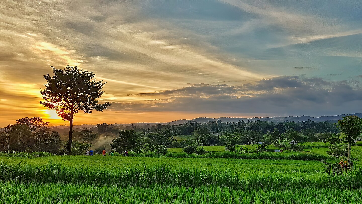 Java 2014 - 26 - Diversen - Platteland 31