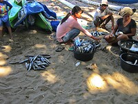 Bali En Lombok 2016 - 06 - Lombok - Hele Week 003