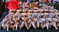 Bali En Lombok 2016 - 06 - Lombok - Hele Week 101