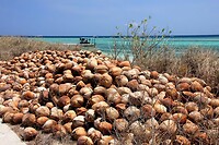 Bali En Lombok 2016 - 06 - Lombok - Hele Week 005