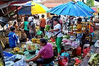 Bali En Lombok 2016 - 06 - Lombok - Hele Week 103