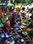 Bali En Lombok 2016 - 06 - Lombok - Hele Week 125