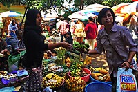 Bali En Lombok 2016 - 06 - Lombok - Hele Week 126