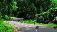 Bali En Lombok 2016 - 06 - Lombok - Hele Week 038