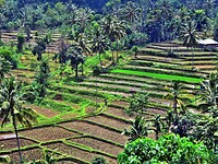 Bali En Lombok 2016 - 06 - Lombok - Hele Week 040