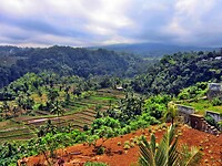 Bali En Lombok 2016 - 06 - Lombok - Hele Week 041