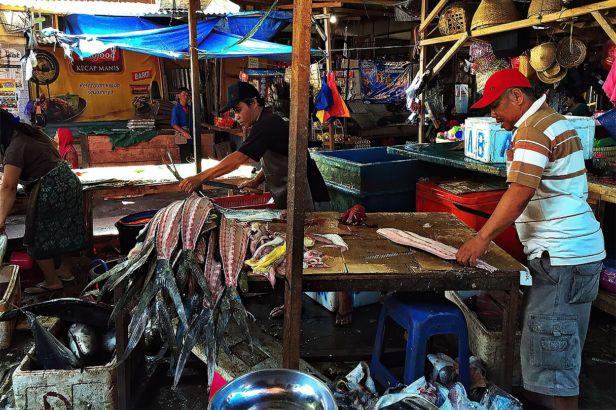 Bali En Lombok 2016 - 06 - Lombok - Hele Week 131