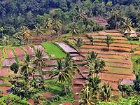 Bali En Lombok 2016 - 06 - Lombok - Hele Week 046