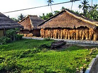 Bali En Lombok 2016 - 06 - Lombok - Hele Week 070
