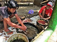 Bali En Lombok 2016 - 06 - Lombok - Hele Week 095