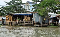 Vietnam 2019 - 02 Mekong Delta 03 - Rivier 35