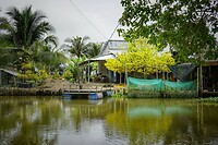 Vietnam 2019 - 02 Mekong Delta 03 - Rivier 35a