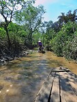 Vietnam 2019 - 02 Mekong Delta 04 - Roeitocht 07