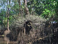 Vietnam 2019 - 02 Mekong Delta 04 - Roeitocht 10