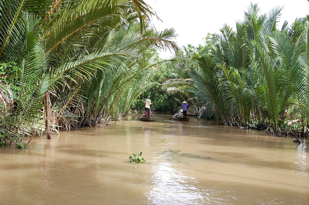 Vietnam 2019 - 02 Mekong Delta 04 - Roeitocht 16