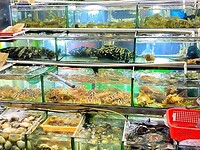 Vietnam 2019 - 02 Mekong Delta 08 - Ninh Kieu Market 23