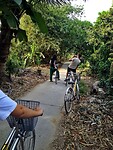 Vietnam 2019 - 02 Mekong Delta 09 - Excursie 03