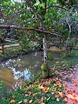 Vietnam 2019 - 02 Mekong Delta 10 - Boerderij 02