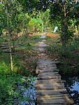 Vietnam 2019 - 02 Mekong Delta 10 - Boerderij 03