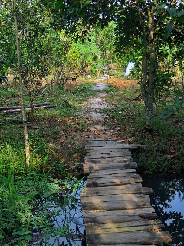 Vietnam 2019 - 02 Mekong Delta 10 - Boerderij 03