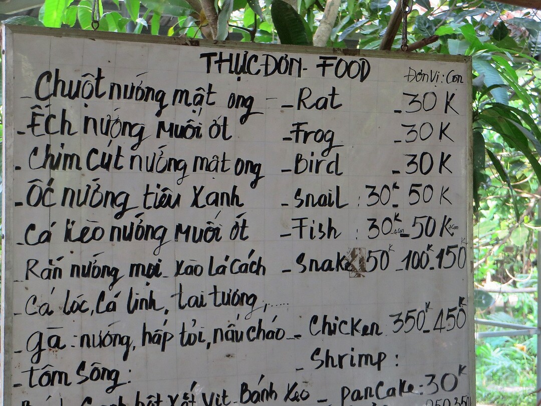 Vietnam 2019 - 02 Mekong Delta 10 - Boerderij 04