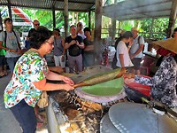 Vietnam 2019 - 02 Mekong Delta 11 - Loempialvel 01