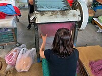 Vietnam 2019 - 02 Mekong Delta 11 - Loempialvel 03