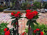 Vietnam 2019 - 02 Mekong Delta 12 - Binh Thuy Ancient House 07