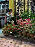 Vietnam 2019 - 02 Mekong Delta 12 - Binh Thuy Ancient House 14