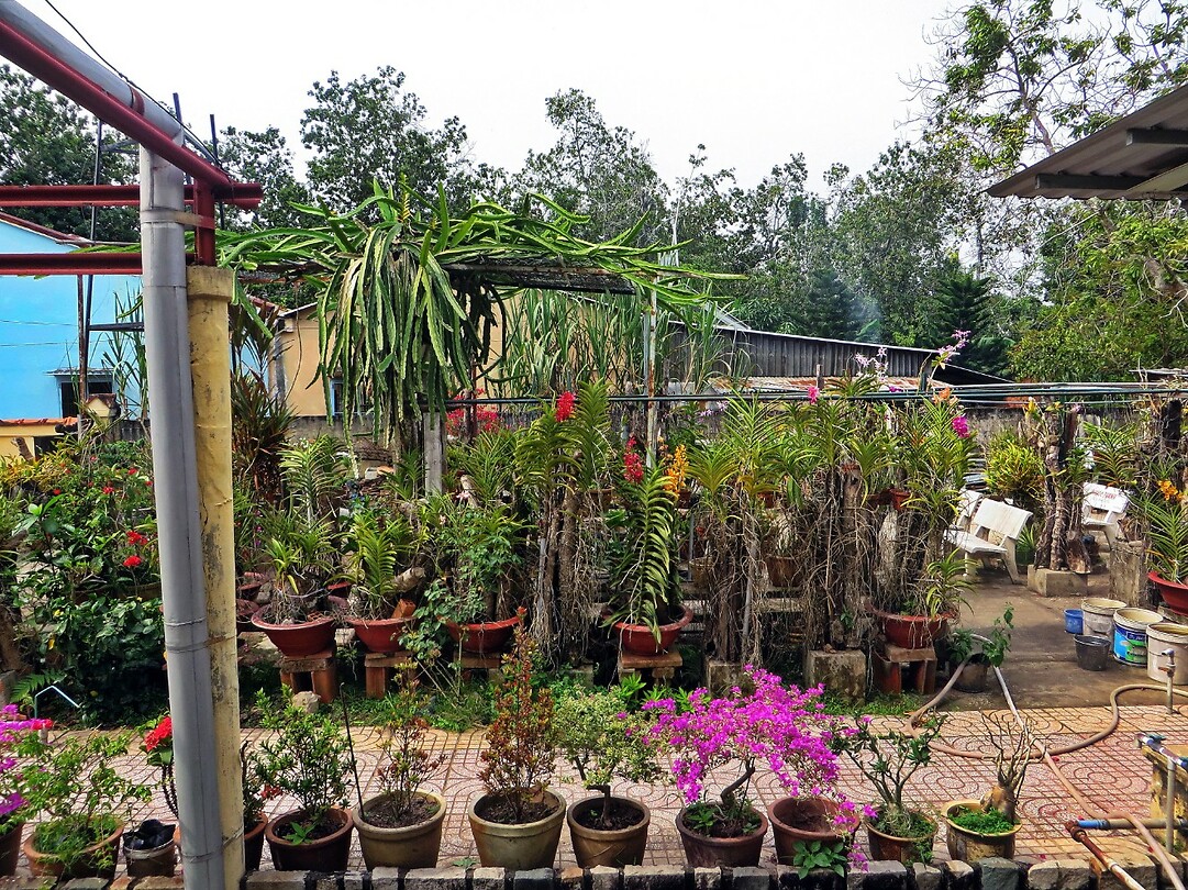 Vietnam 2019 - 02 Mekong Delta 12 - Binh Thuy Ancient House 16