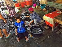 Bali En Lombok 2016 - 06 - Lombok - Hele Week 115 Markt