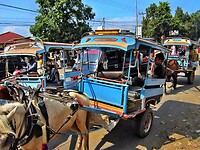 Bali En Lombok 2016 - 06 - Lombok - Hele Week 146 Markt