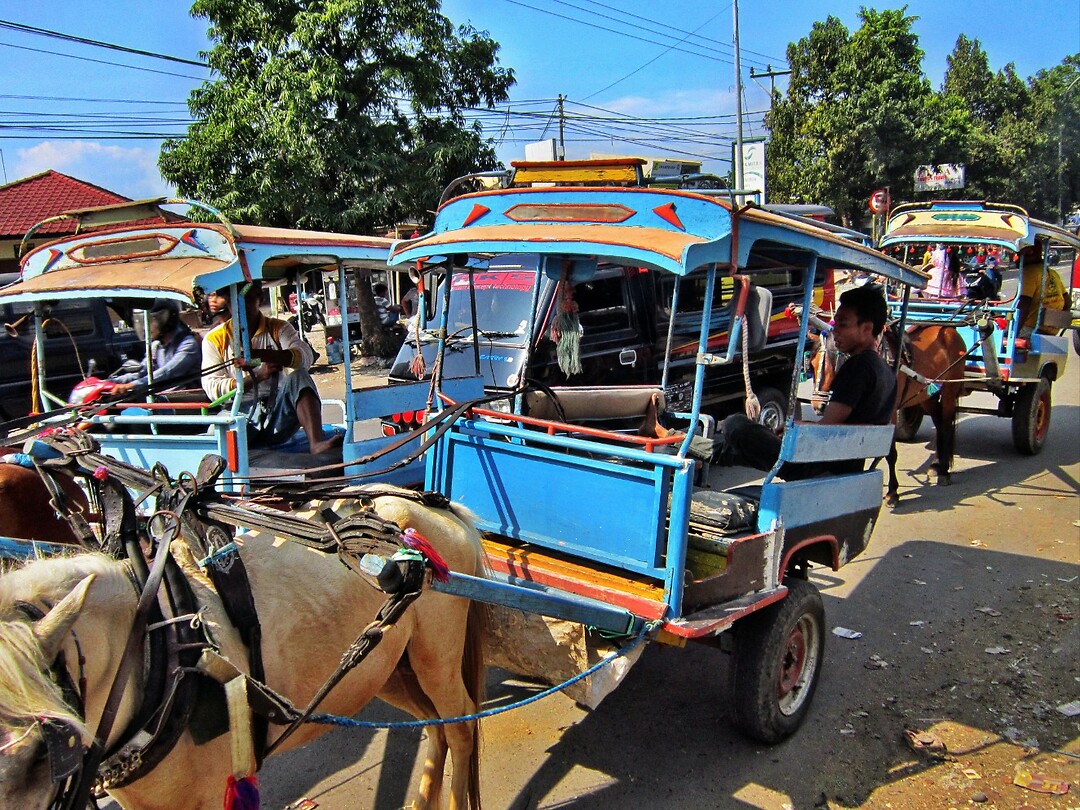 Bali En Lombok 2016 - 06 - Lombok - Hele Week 146 Markt