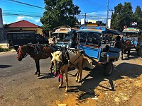 Bali En Lombok 2016 - 06 - Lombok - Hele Week 148 Markt