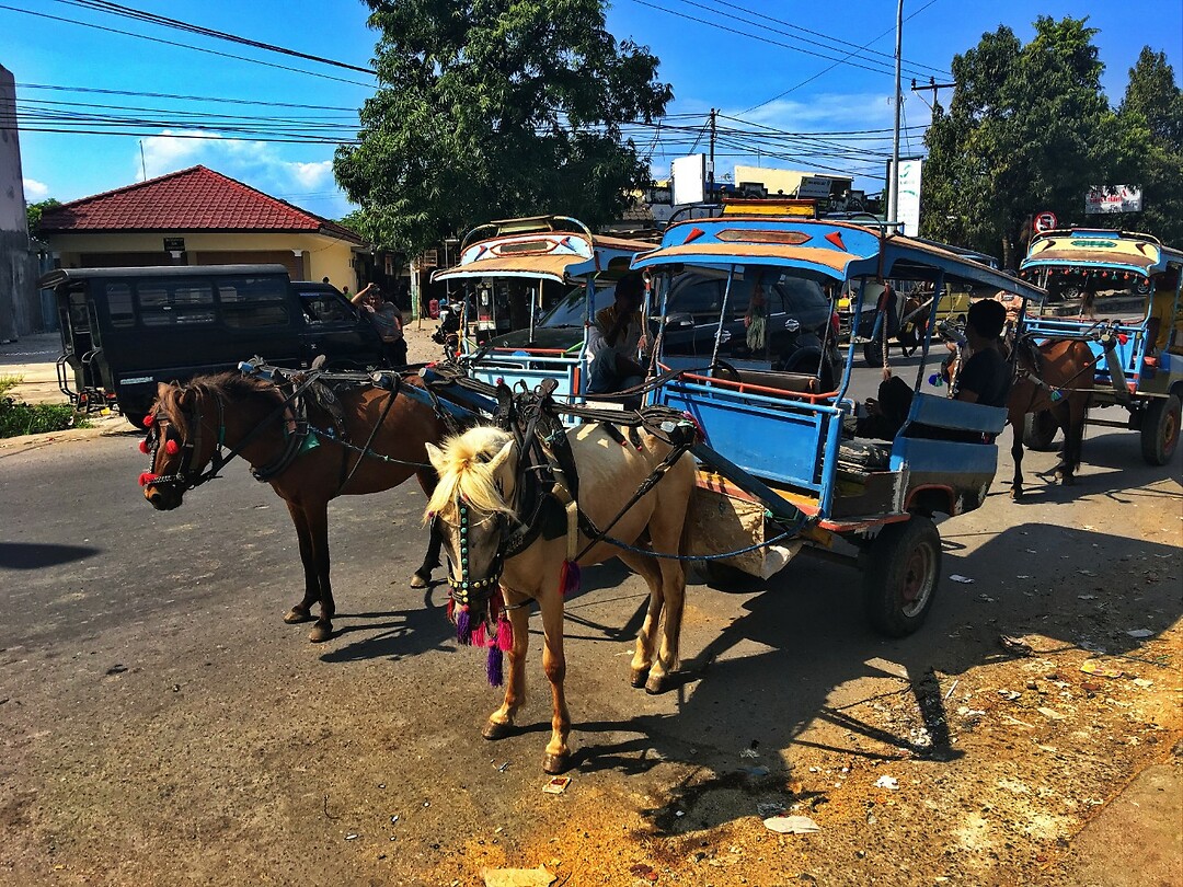 Bali En Lombok 2016 - 06 - Lombok - Hele Week 148 Markt