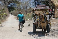 Bali En Lombok 2016 - 06 - Lombok - Hele Week 150 Onderweg