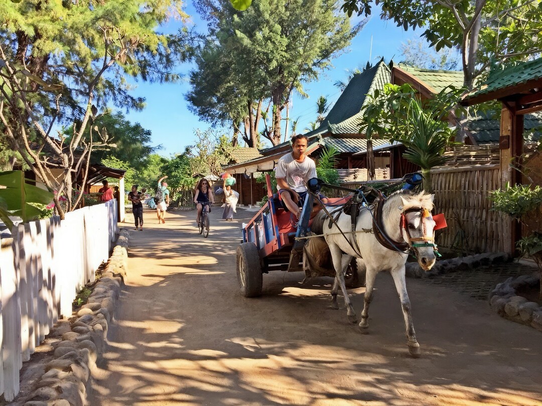 Bali En Lombok 2016 - 06 - Lombok - Hele Week 229 Onderweg