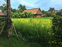 Bali En Lombok 2016 - 07 - Derde Week Ubud 19 Onderweg