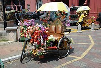 Maleisie En Java 2018 02 - Malakka - Trishaw Ride 09